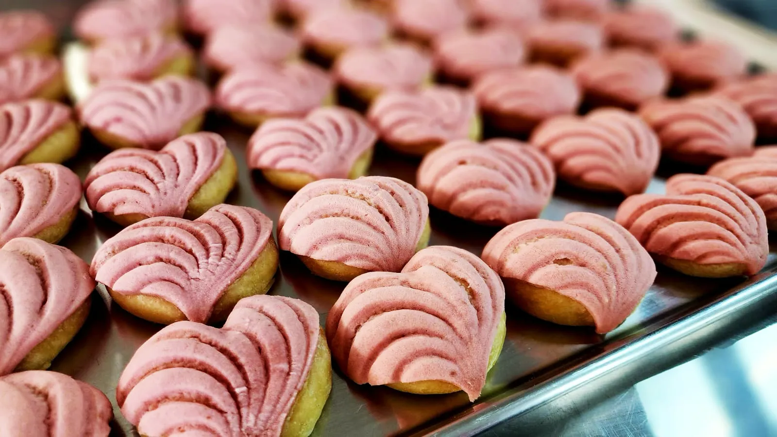 La Concheria - San Antonio